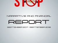 narative and financ report